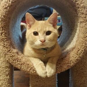 Meet your Posher, Tammy